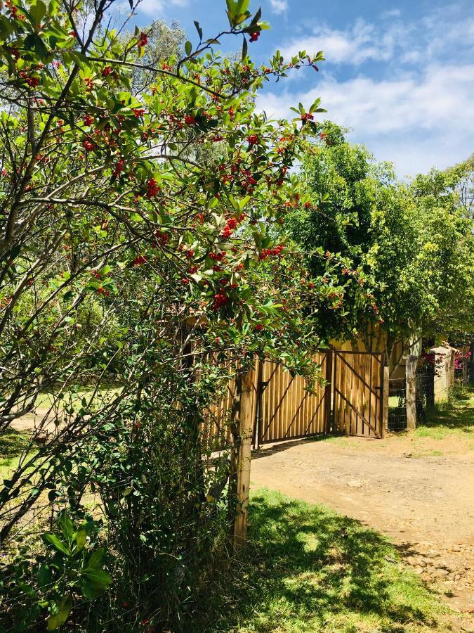 Clavellino House En Villa De Leyva - Tranquilidad Y Naturaleza En Reserva Natural Urbana! Kültér fotó