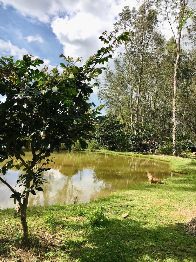 Clavellino House En Villa De Leyva - Tranquilidad Y Naturaleza En Reserva Natural Urbana! Kültér fotó