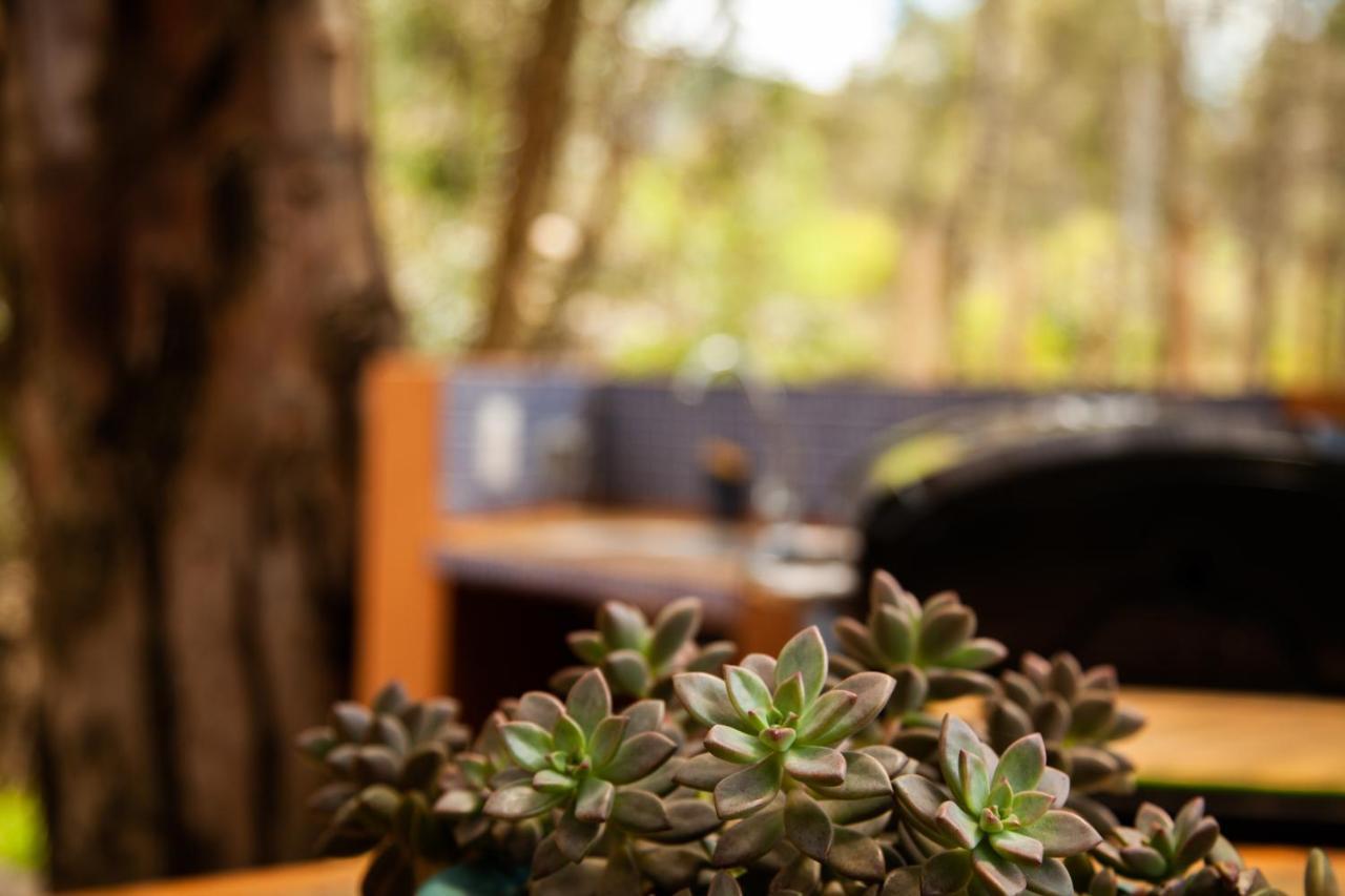 Clavellino House En Villa De Leyva - Tranquilidad Y Naturaleza En Reserva Natural Urbana! Kültér fotó